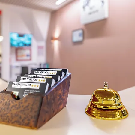 Hotel Grand Senia - Paris Airport 3*