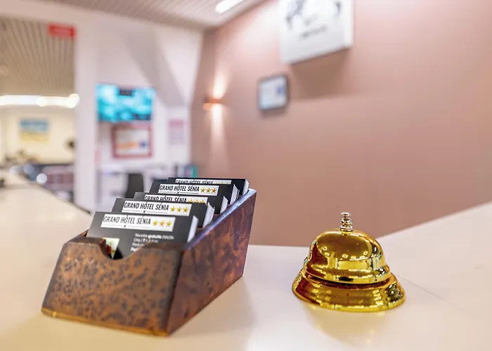 酒店 Grand Senia - Paris Airport 3*